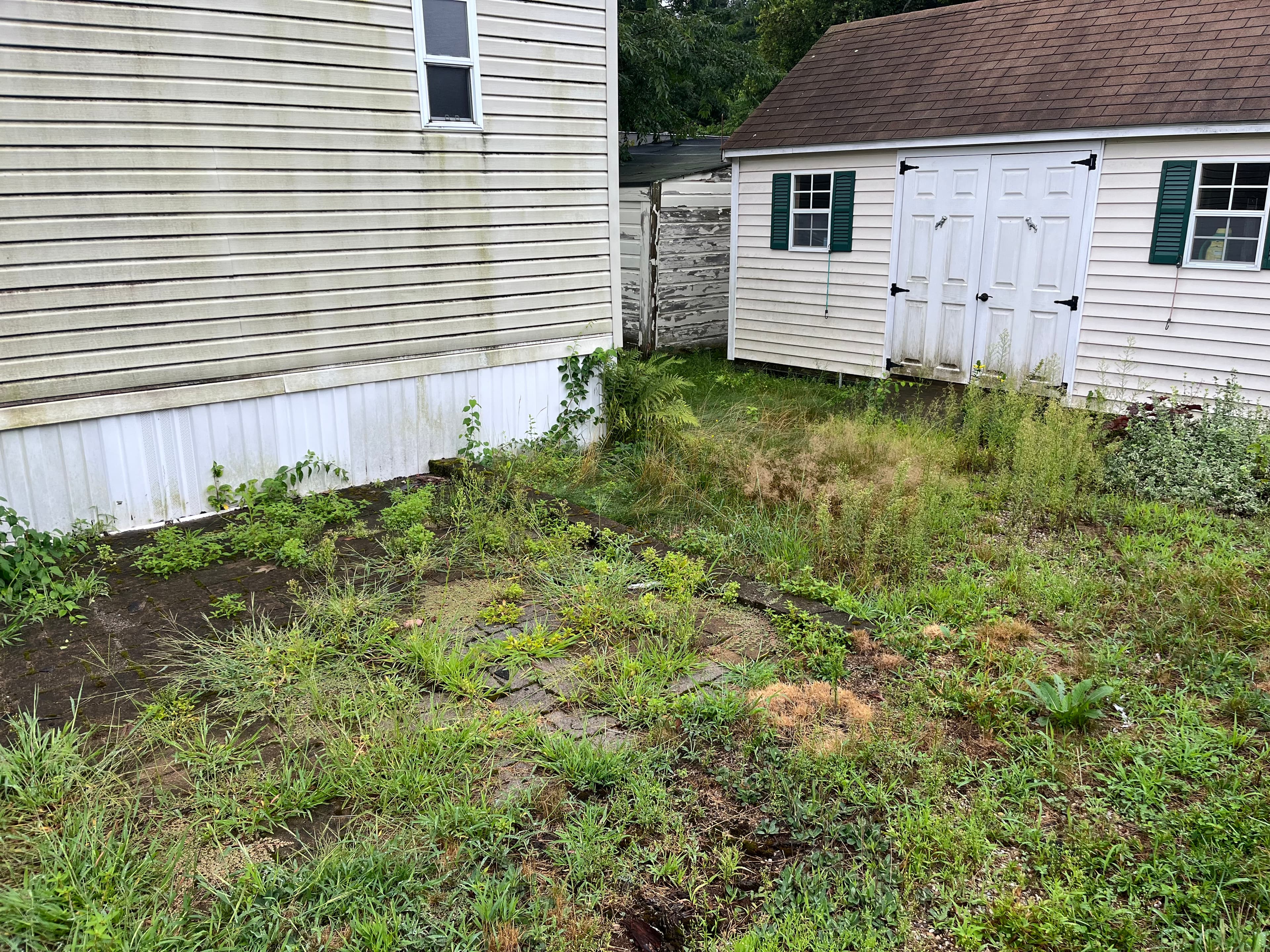 Before: Full Exterior Restoration