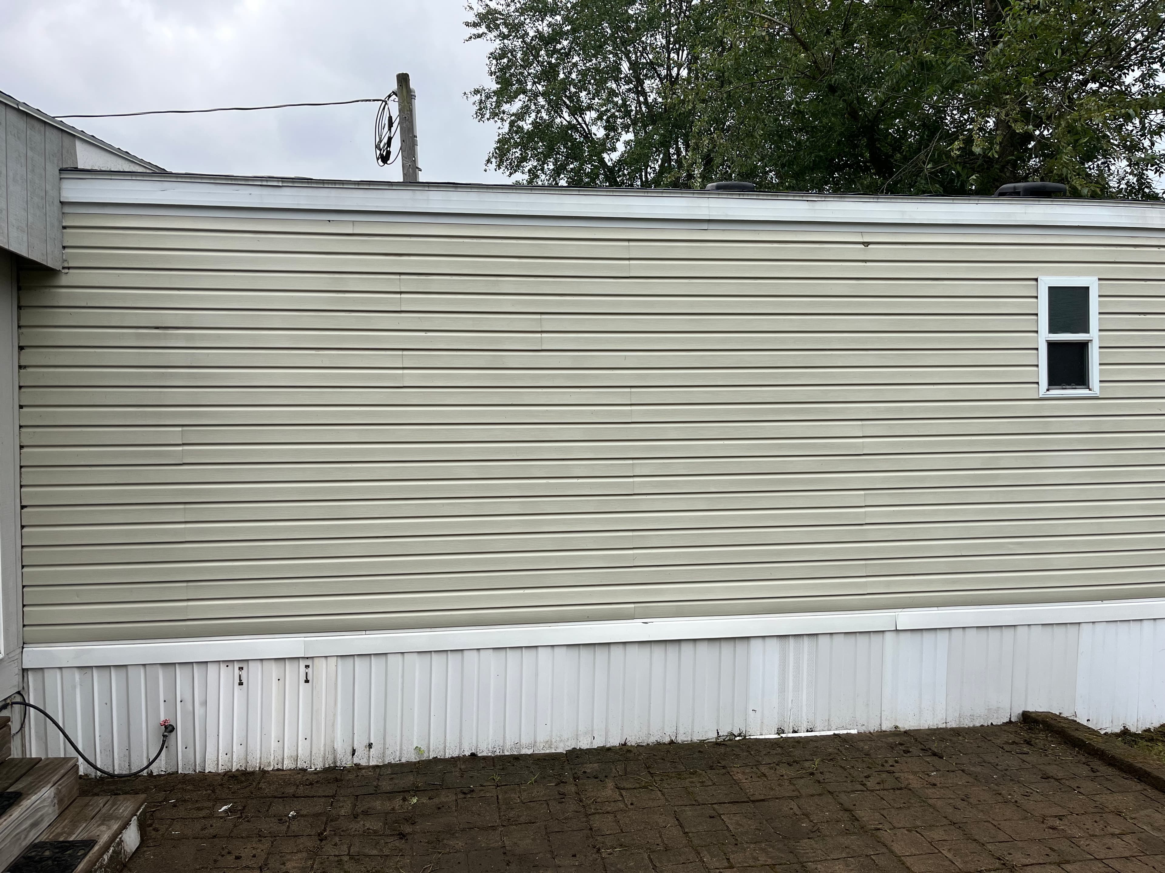 Vinyl Wall Deep Clean
